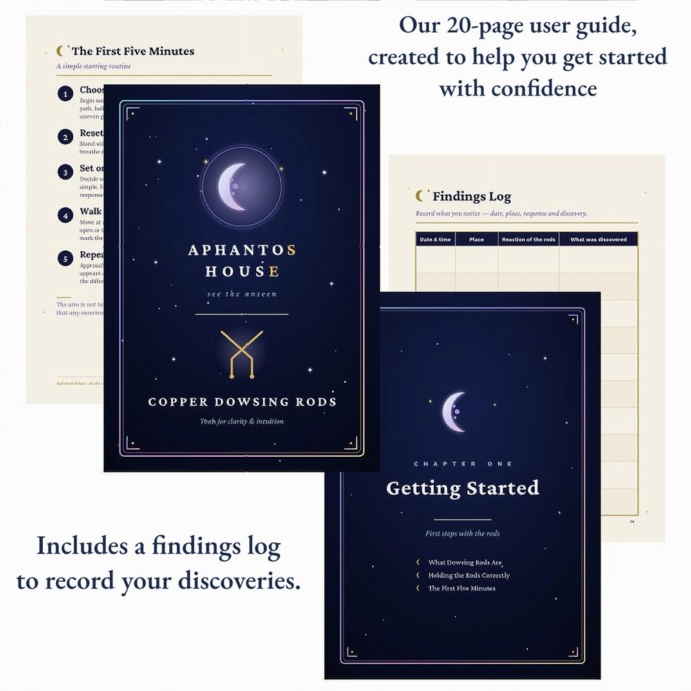 Pages of the 20-page user guide, including the findings log